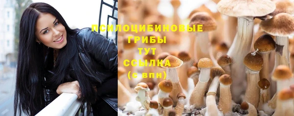 прущие грибы Арсеньев