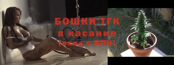 прущие грибы Арсеньев