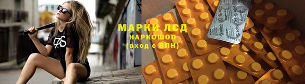 прущие грибы Арсеньев