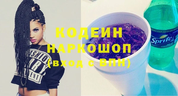 прущие грибы Арсеньев