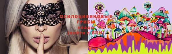 прущие грибы Арсеньев