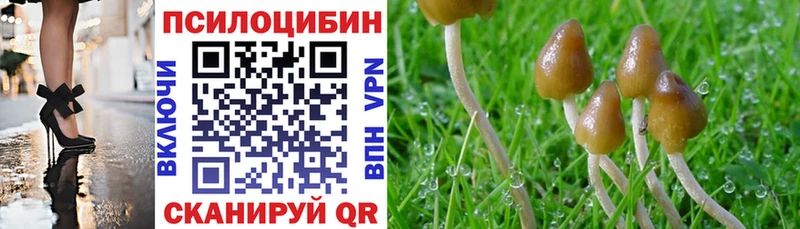 Купить закладки  Узловая  Галлюциногенные грибы GOLDEN TEACHER 